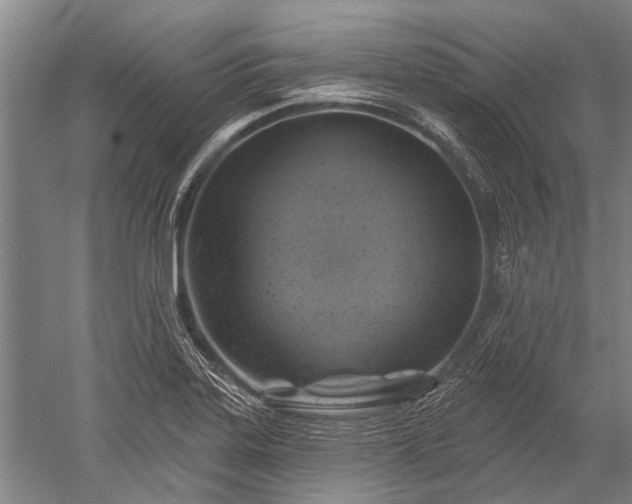 X0000052571323200507081651