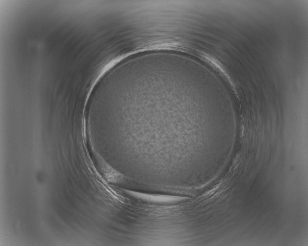 X0000052571324200507081651