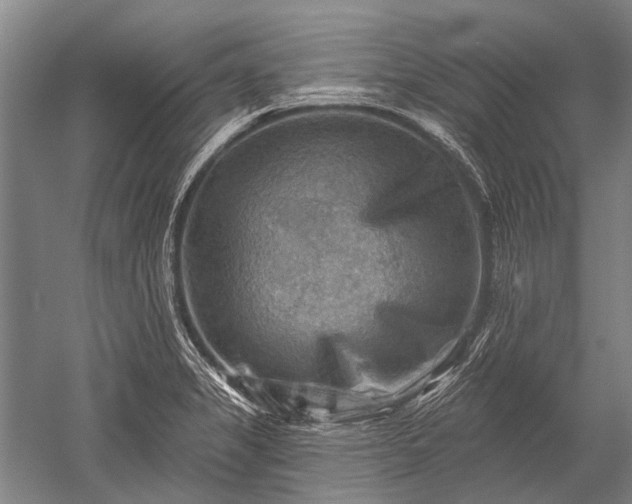 X0000052571325200507081651