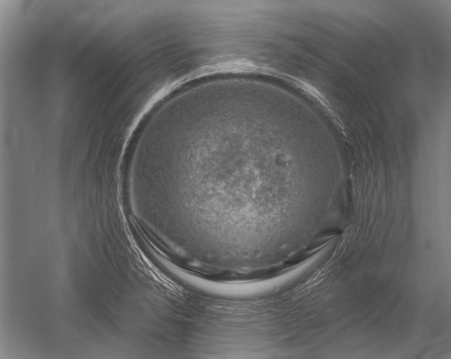 X0000052571326200507081651