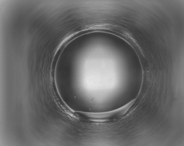 X0000052571328200507081651