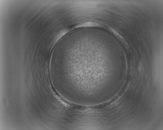 X0000052571329200507081651