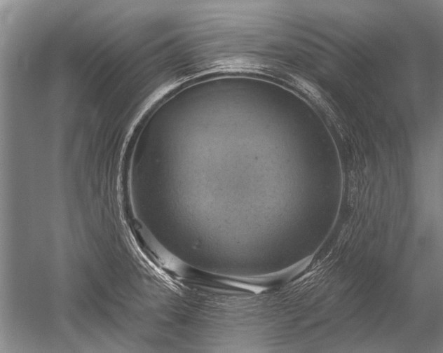 X0000052571331200507081651