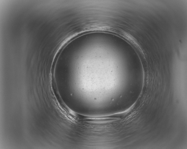 X0000052571332200507081651