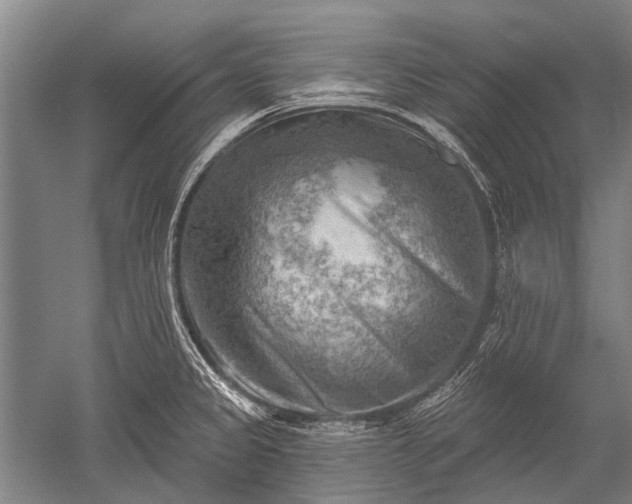 X0000052571333200507081652