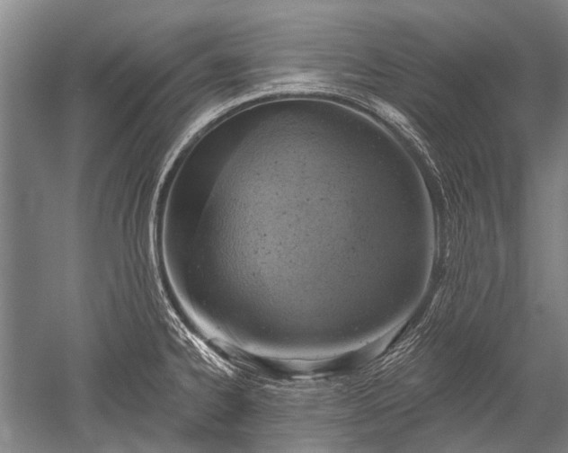 X0000052571334200507081652