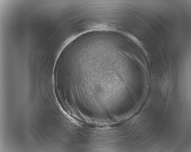 X0000052571335200507081652