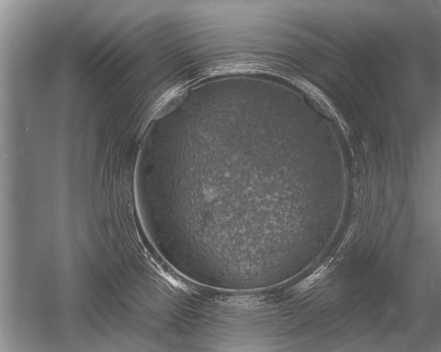 X0000052571337200507081652