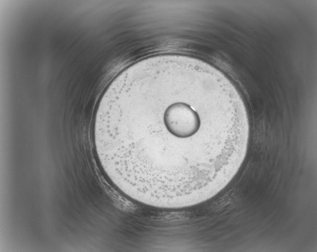 X0000052571338200507081652