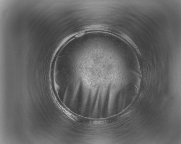 X0000052571339200507081652