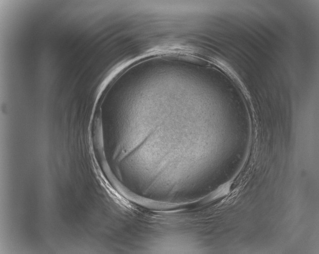 X0000052571344200507081652