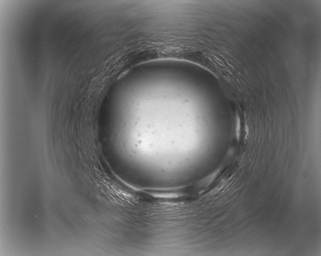 X0000052571345200507081651