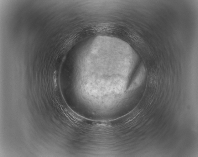 X0000052571346200507081651