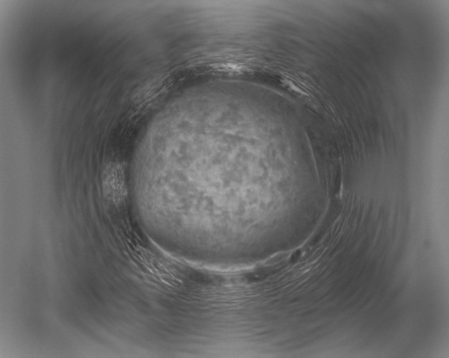 X0000052571347200507081651