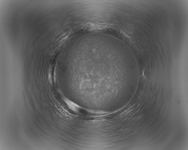 X0000052571348200507081651