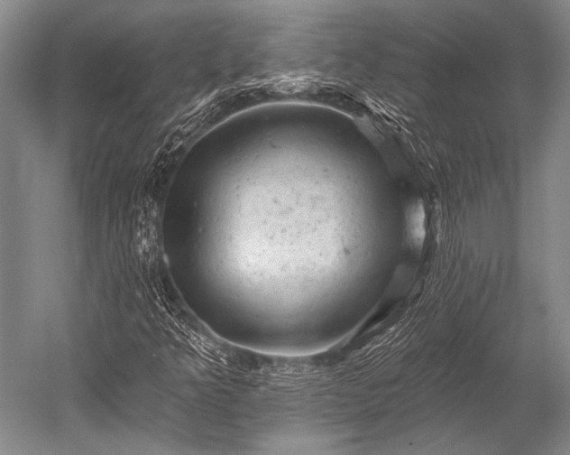 X0000052571349200507081651