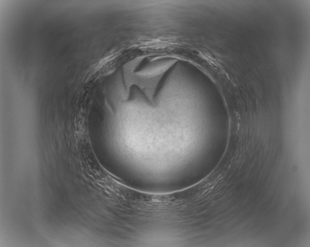 X0000052571350200507081651