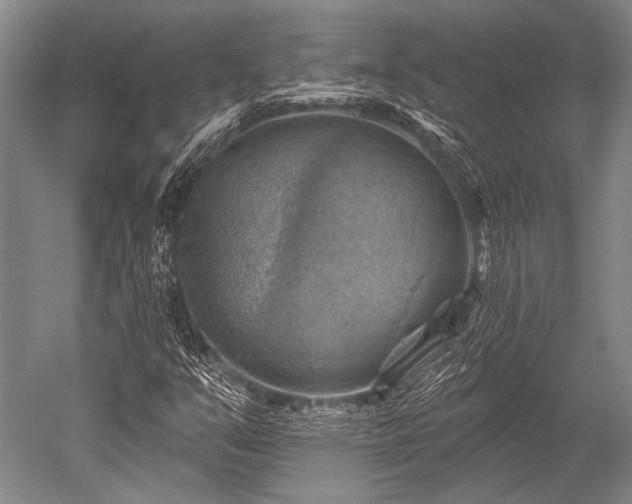 X0000052571351200507081651