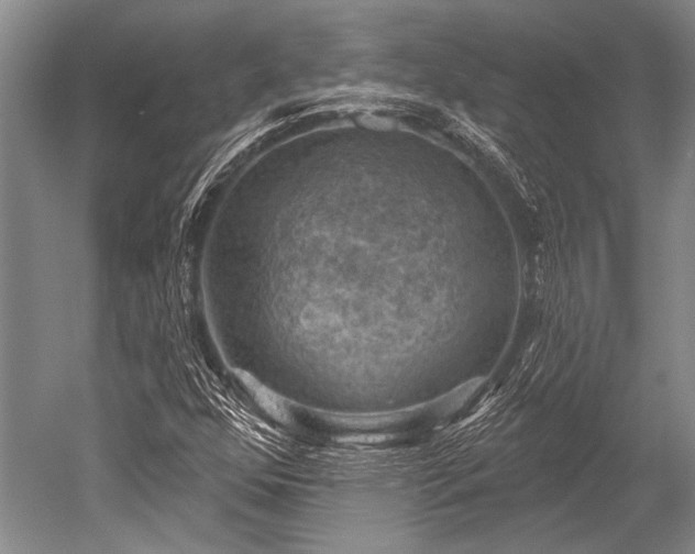 X0000052571352200507081651