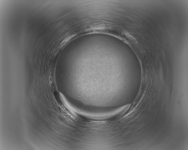 X0000052571353200507081651