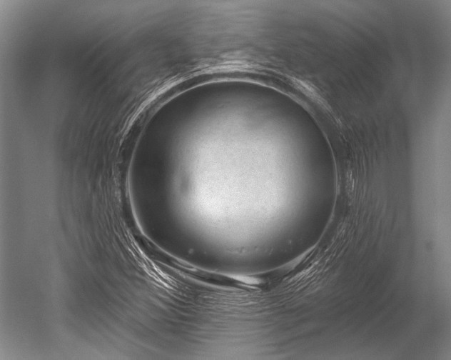 X0000052571356200507081651