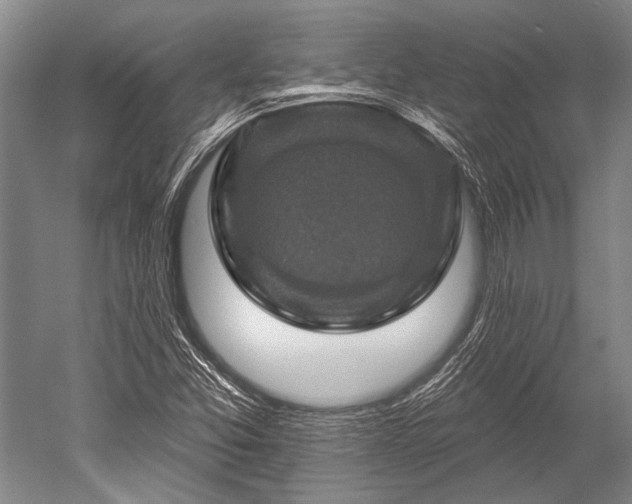 X0000052571357200507081651