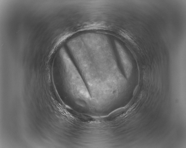 X0000052571358200507081651