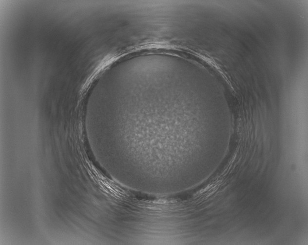 X0000052571359200507081651