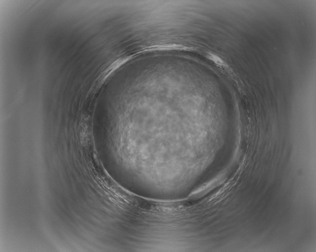 X0000052571361200507081651