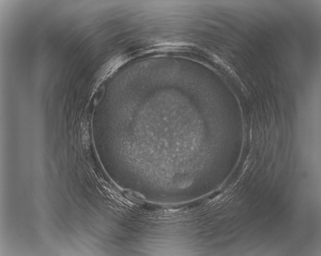 X0000052571362200507081651