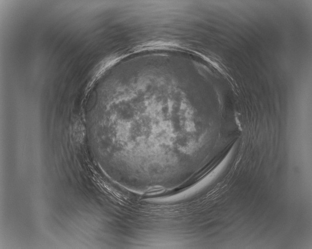 X0000052571363200507081651