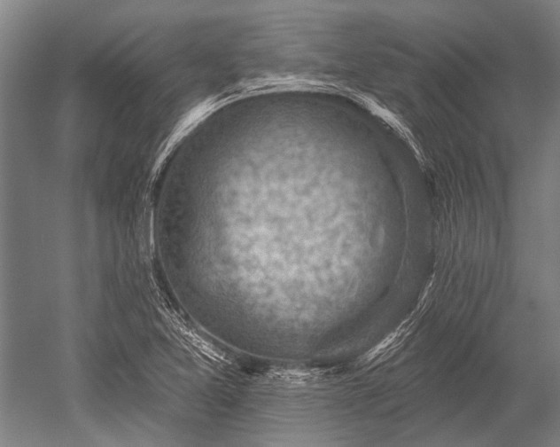 X0000052571365200507081651