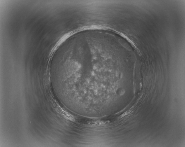 X0000052571367200507081651