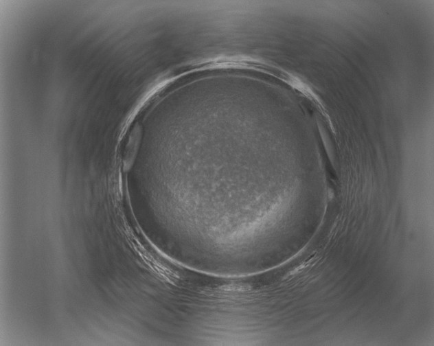 X0000052571368200507081650