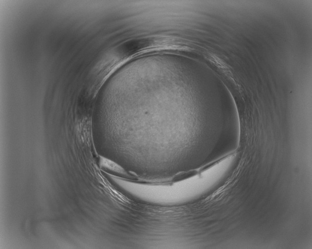 X0000052571369200507081650