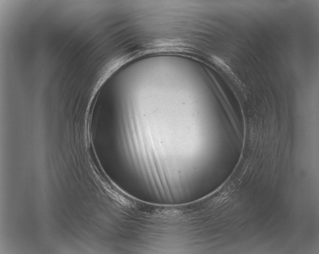 X0000052571370200507081650