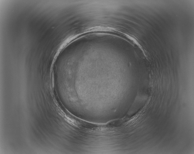 X0000052571371200507081650