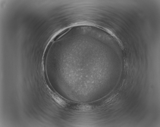 X0000052571372200507081650