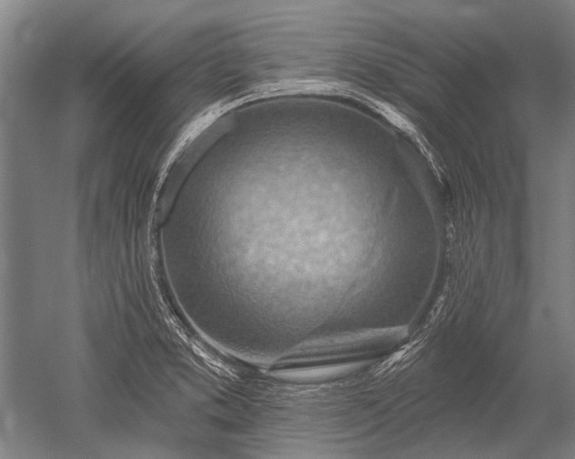 X0000052571373200507081650