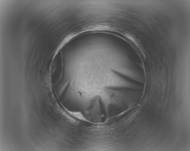 X0000052571374200507081650