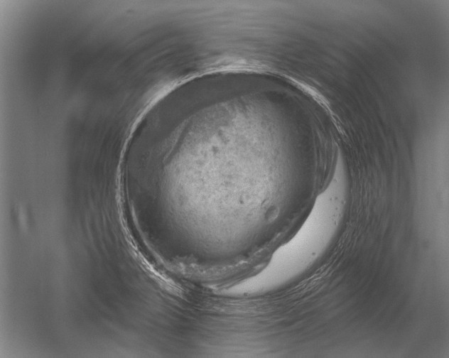 X0000052571375200507081650