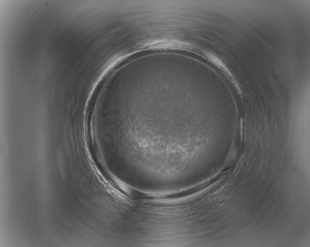 X0000052571376200507081650