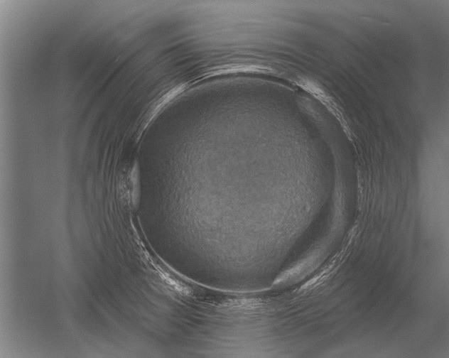 X0000052571377200507081650