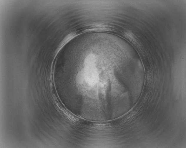 X0000052571378200507081650