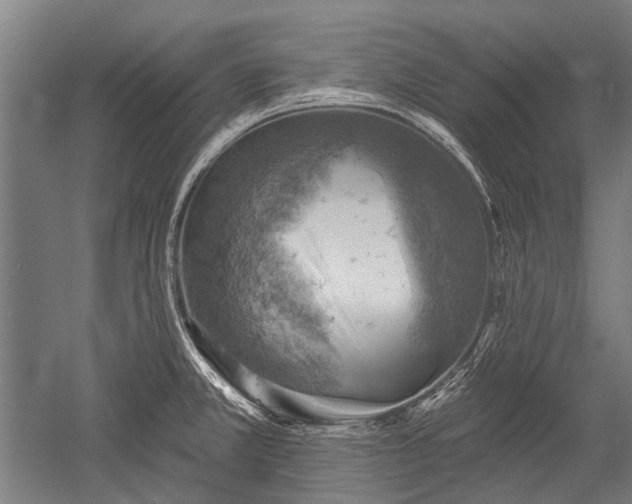 X0000052571381200507081650