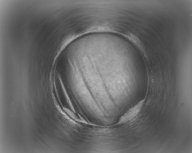 X0000052571382200507081650