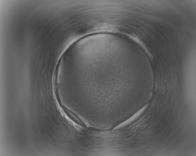 X0000052571383200507081650