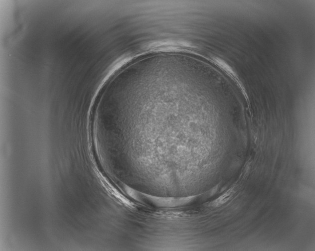 X0000052571384200507081650