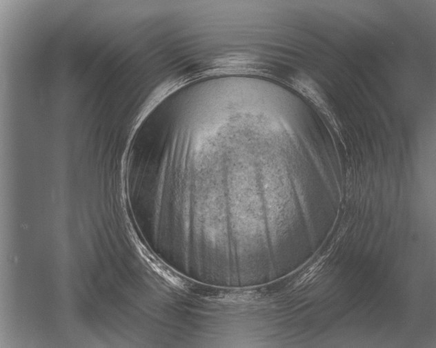 X0000052571386200507081650