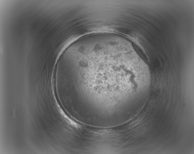 X0000052571387200507081650